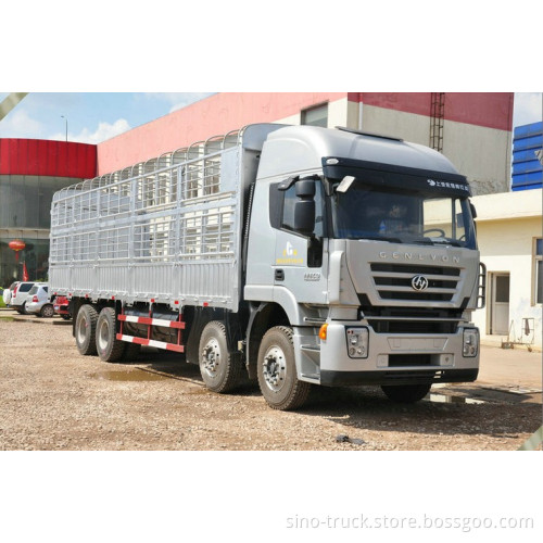 Genlyon Iveco Lorry/Cargo Truck 8X4 (CQ1314HTG466)